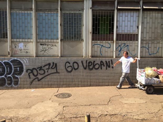 go_vegan_street_art_in_brazil
