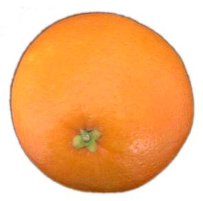 Orange-fruit-2.jpg
