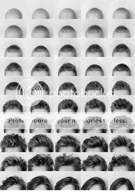 hairs.jpg